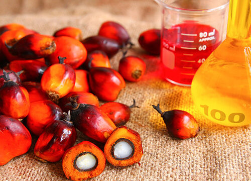 Prodotti senza olio di palma